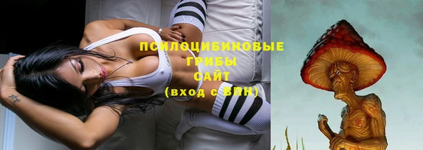 apvp Семилуки
