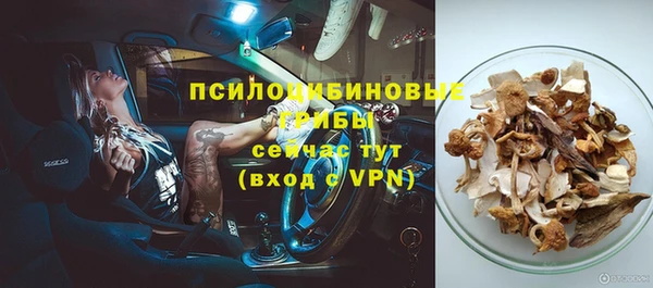 прущие крисы Балабаново