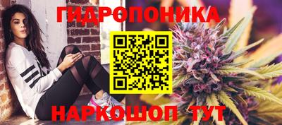 mdpv Кингисепп
