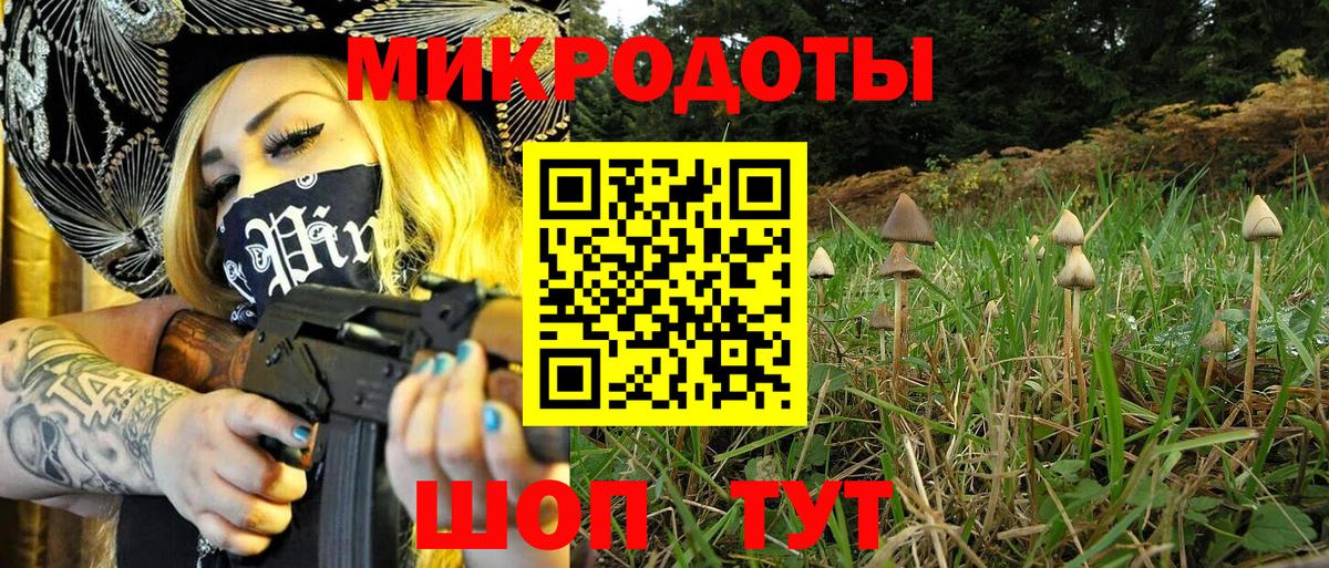 Псилоцибиновые грибы GOLDEN TEACHER Корсаков
